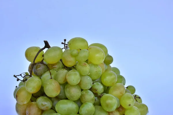 Białe Soczyste Dojrzałe Winogrona — Zdjęcie stockowe