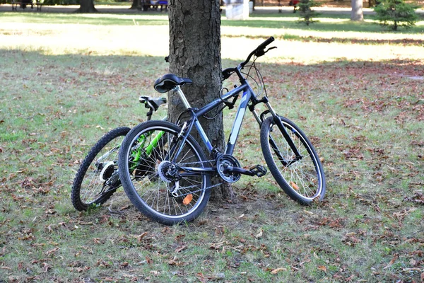 緑の公園を自転車で走り — ストック写真