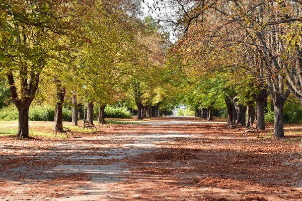 Estrada Parque Paisagem — Fotografia de Stock