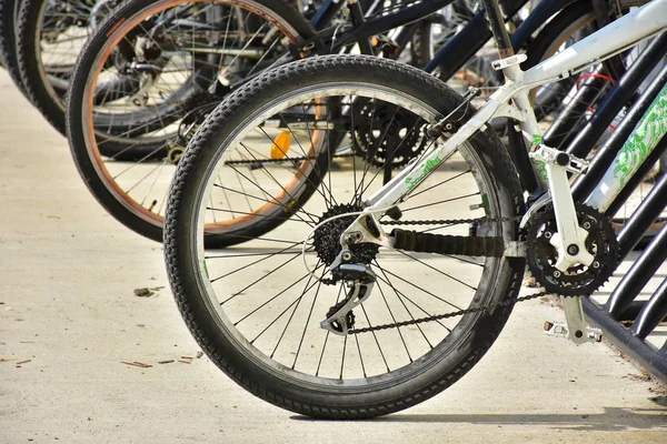 Cykel Parken Och Cykel — Stockfoto