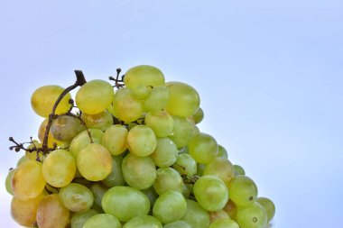 beyaz sulu olgun üzüm 