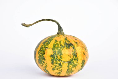 beyaz arkaplanda kabak