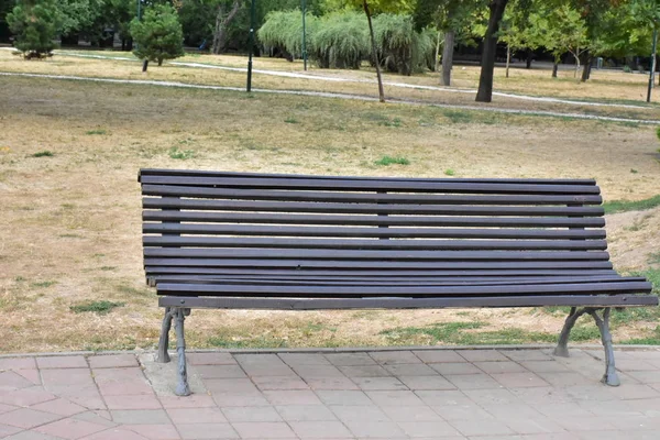 Banc Bois Dans Parc — Photo