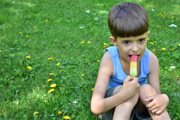 Niño Comer Helado — Foto de Stock