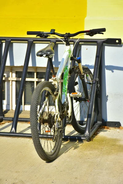 Vélo Dans Parc Etvélo — Photo