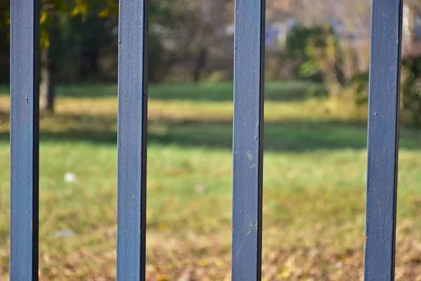 Vacker Bakgrund Och Vacker Konsistens — Stockfoto