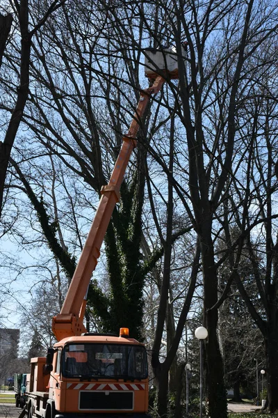 Day time shot of crane with a truck in city park