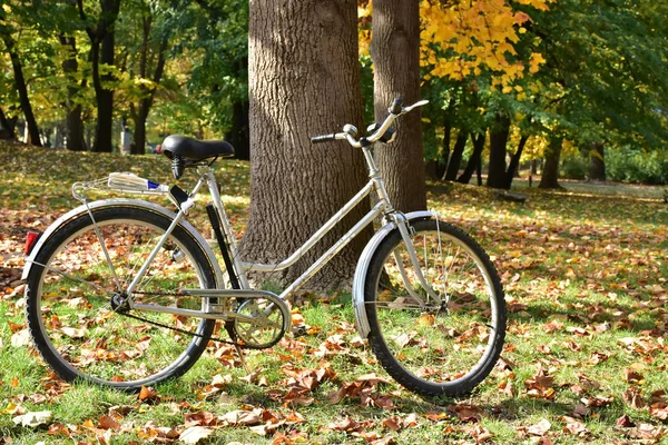 Cykel Parken Och Cykel — Stockfoto