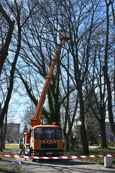 Day time shot of crane with a truck in city park