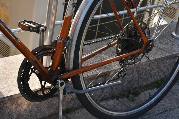 Fahrrad Park Und Fahrrad — Stockfoto