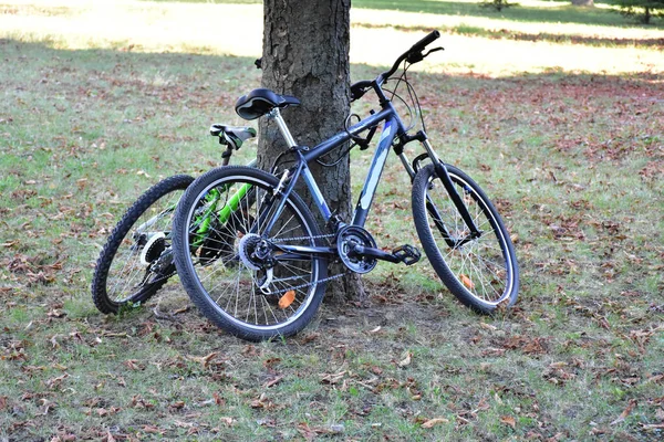 緑の公園を自転車で走り — ストック写真