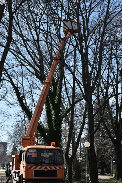 Day time shot of crane with a truck in city park
