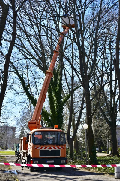 Day Time Shot Crane Truck City Park — 스톡 사진