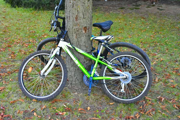 Fahrrad Park Der Grünen Landschaft — Stockfoto