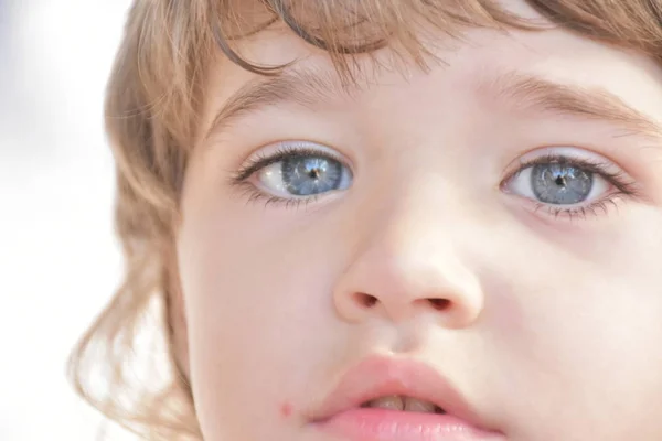 Prachtig Portret Van Een Kind — Stockfoto