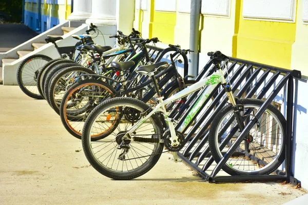 Bicicleta Parque Bicicleta — Fotografia de Stock