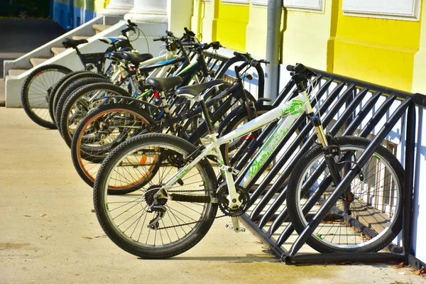 Fahrrad Park Und Fahrrad — Stockfoto