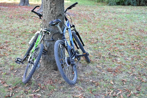 Bicicleta Parque Del Paisaje Verde — Foto de Stock