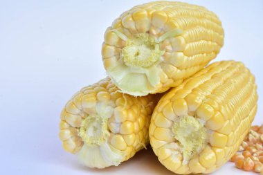 ham Mısır başkanları ve tohum 