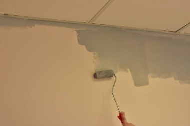 bir rulo ile duvar boya