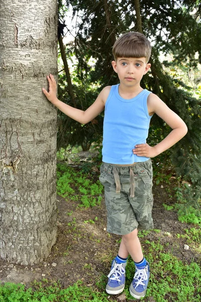 Hermoso Retrato Niño —  Fotos de Stock