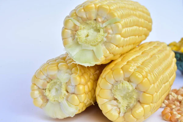 ham Mısır başkanları ve tohum 