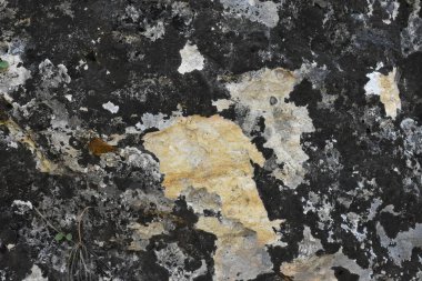 güzel arkaplan ve güzel doku