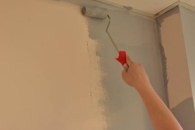 bir rulo ile duvar boya