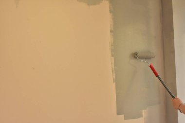 bir rulo ile duvar boya