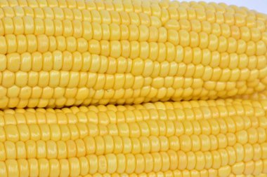 ham Mısır yakın çekim 