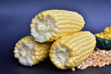 ham Mısır başkanları ve tohum 