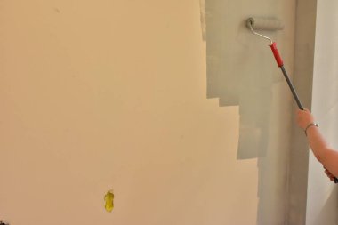 bir rulo ile duvar boya