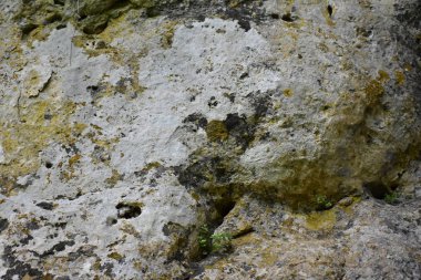 Taş dokusu arkaplanı kapat 