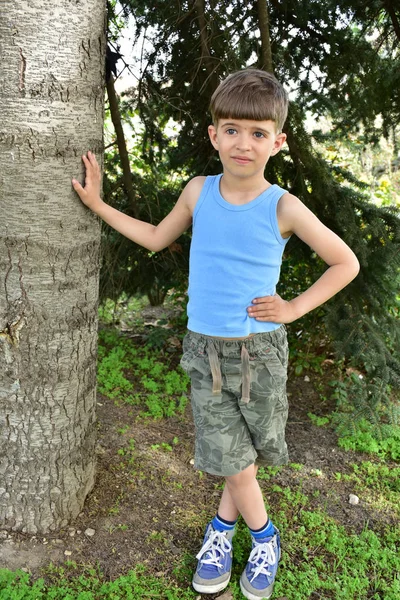 Belo Retrato Uma Criança — Fotografia de Stock