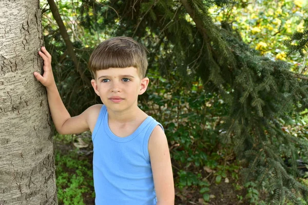 Bellissimo Ritratto Bambino — Foto Stock