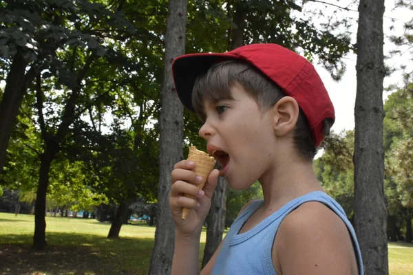 Niño Come Helado —  Fotos de Stock