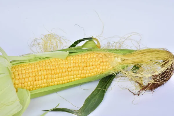 Ripe Corn Background — Stock Photo, Image