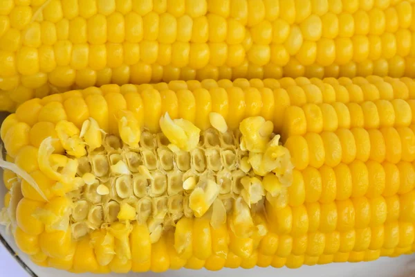 Gotowana Kukurydza Bliska — Zdjęcie stockowe