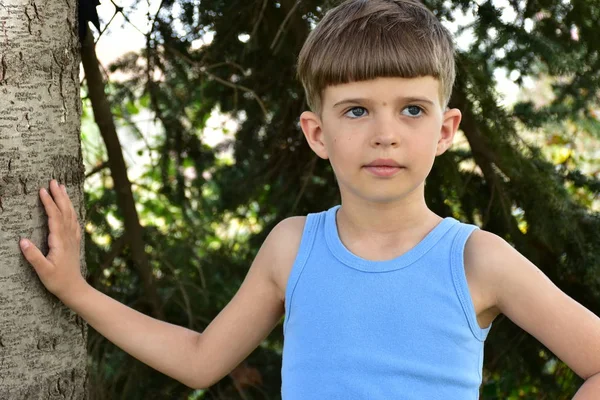 Beautiful Portrait Child — Stock Photo, Image