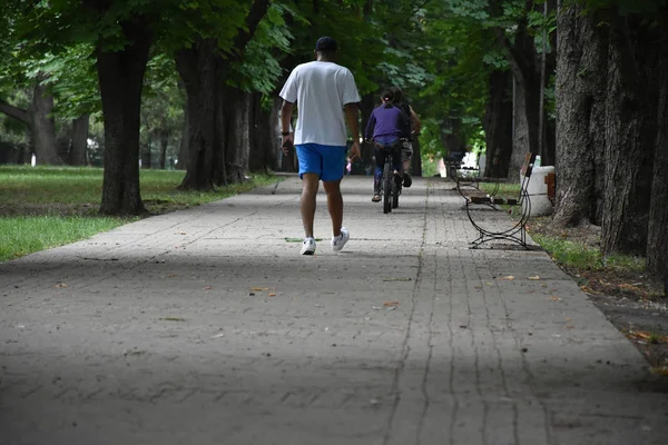 People Summer Green Park — ストック写真