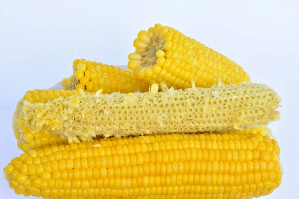 Boiled Corn Close — Stock Photo, Image