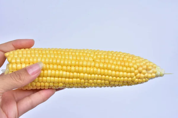 Woman Holding Corn Head Close — Stock Photo, Image