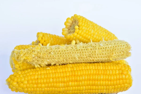 Boiled Corn Close — Stock Photo, Image