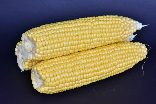 Raw Corn Heads Close — Stock Photo, Image