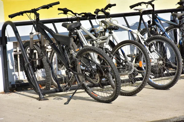 Bike Park Andbicycle — Stock Photo, Image