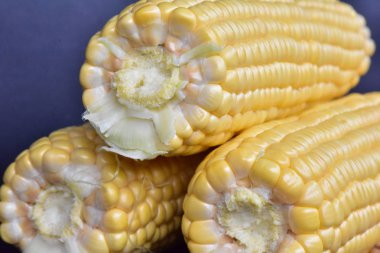 ham Mısır başkanları ve tohum 