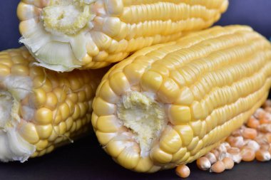 ham Mısır başkanları ve tohum 