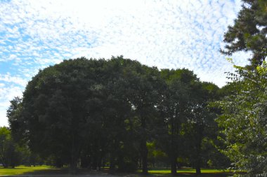 Mavi gökyüzü ve beyaz bulutlar