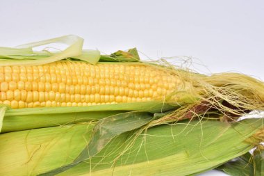 arka planda olgun mısır