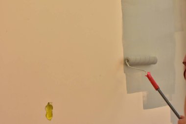 bir rulo ile duvar boya
